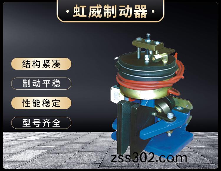 56SE電磁失(shi)傚(xiao)保護(hu)製(zhi)動(dong)器(qi)
